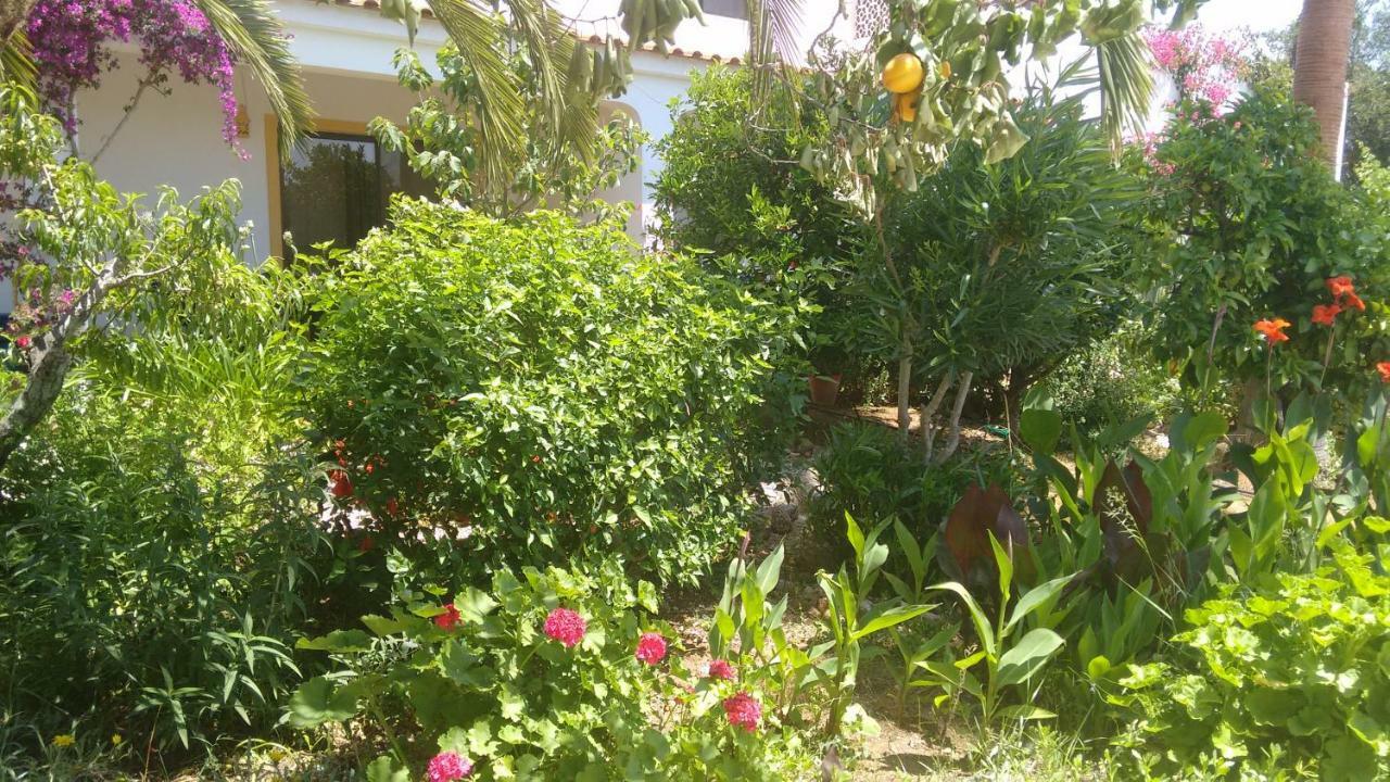 Feliz Apartments São Bartolomeu de Messines Eksteriør bilde